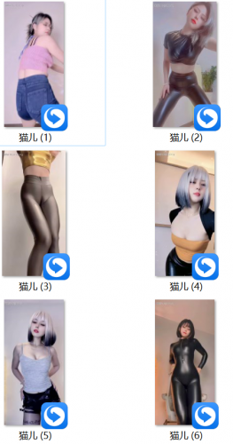 【20251025期】-猫儿 6V